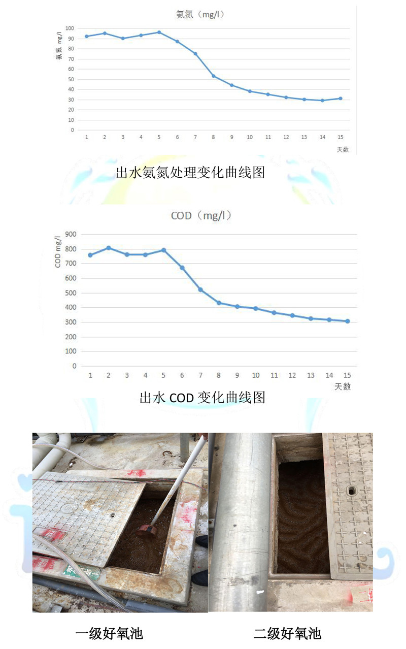 调水人-污水处理案例-8.jpg