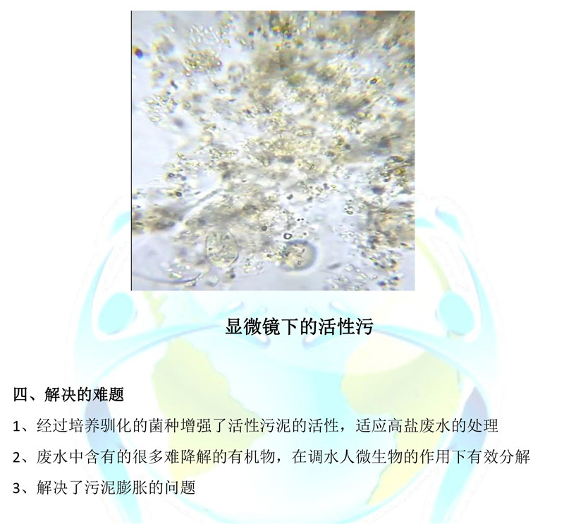 调水人-污水处理案例-9.jpg