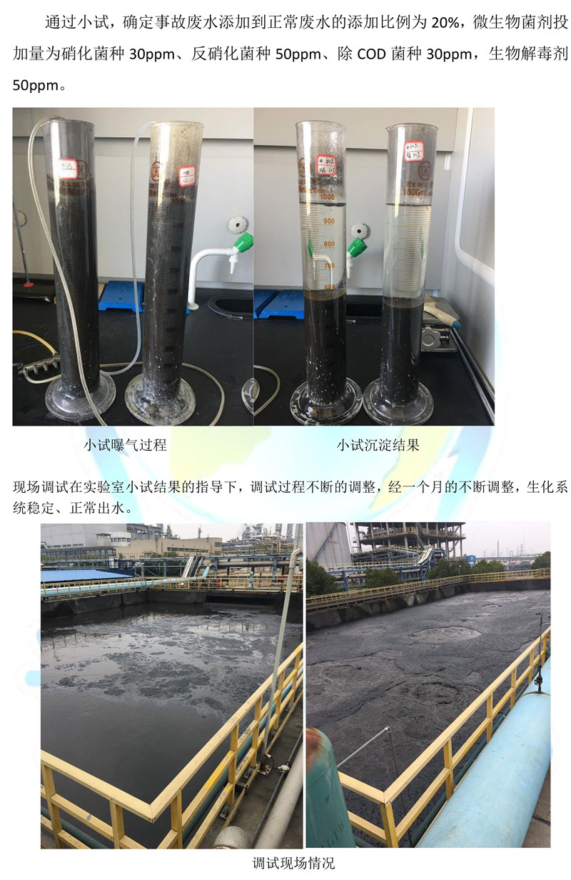 调水人-污水处理案例-6.jpg